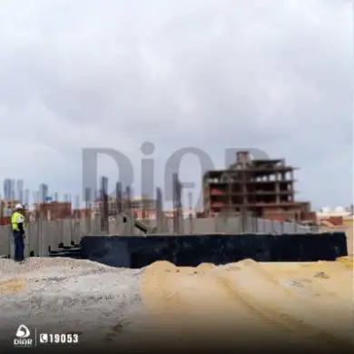 مارس 2022 مارس 2022