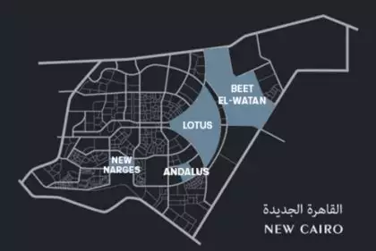 القاهرة الجديدة